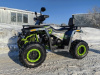 Motoland Wild Track 200 LUX, 2026 г.