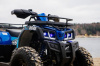 Sharmax Activator 250, 2025 г.