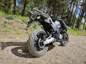 Regulmoto Alien Monster 300, 2025 г.