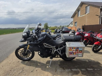 Triumph Tiger, 2010 г.