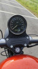 Harley-Davidson Sportster Iron, 2013 г.