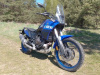 Yamaha XTZ 700 Tenere, 2022 г.