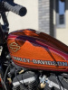 Harley-Davidson Sportster, 2013 г.