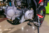 Progasi Jumbo 125, 2024 г.
