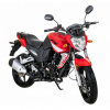 Racer RC 250CK, 2024 г.