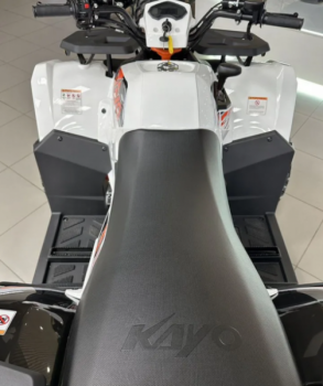 AMOTO E008 AU 300 carb, 2024 г.