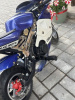 KXD Sport, 2022 г.