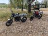 ROCKOT SCRAMBLER, 2026 г.