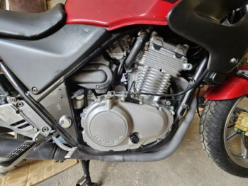 Honda CB 500, 1999 г.
