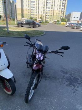 Hors Alpha, 2020 г.