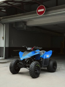 CFMOTO CForce 110 EFI, 2026 г.