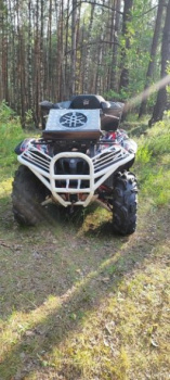 Yamaha Grizzly, 2010 г.