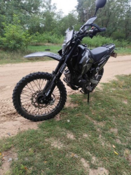 Regulmoto Sport PR Pro, 2025 г.