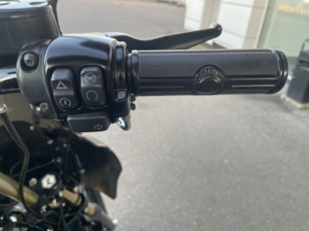 Harley-Davidson Sportster 1200, 2019 г.