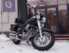 Motoland Wolf 250, 2025 г.
