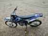 Apollo M3 300 4V (175FMM PR5), 2025 г.