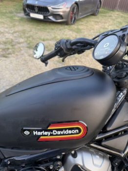 Harley-Davidson Nightster Special, 2024 г.