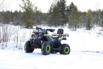 Nitro 200 TaoTao Warrior 200cc, 2023 г.