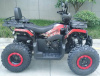 Racer RC 200 Gladiator, 2024 г.