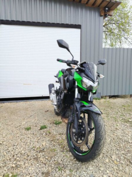 Kawasaki Z, 2022 г.