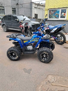 Детский Motoland Wild  X PRO 125, 2026 г.