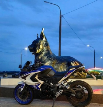 Racer Storm RC250, 2020 г.