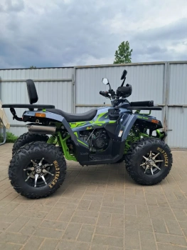 Утилитарный Motoland Wild Track X PRO, 2026 г.