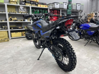 Racer Panther PRO 19 (RC300B-F), 2026 г.