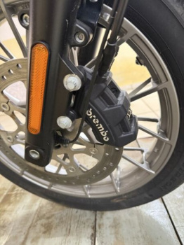 Harley-Davidson Nightster, 2023 г.