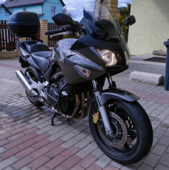 Honda CBF 600SA, 2006 г.