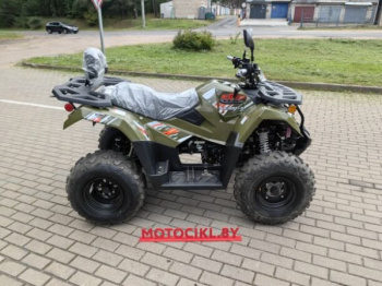 Kayo AU300 Carb, 2026 г.