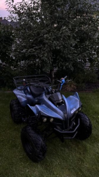 KXD Warrior, 2015 г.