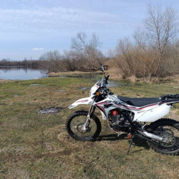 BSE Z6, 2024 г.