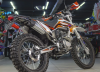 ROCKOT RS250 Firestorm, 2025 г.