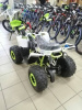 Racer RC 110 Coyote, 2023 г.