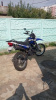 Racer Panther RC250 GY-C2, 2023 г.