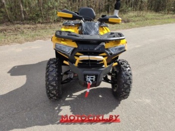 Motoland Wild Track X Plus (VOX250), 2025 г.