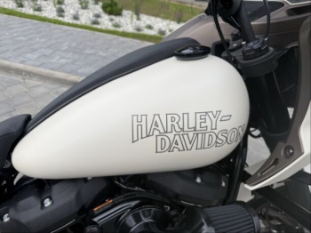 Harley-Davidson Softail FXLRST, 2023 г.