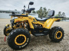 Motoland Wild Track 200 X WINCH, 2025 г.