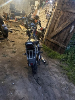 Viper Harley, 2010 г.