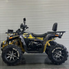 Motoland Wild Track X PRO, 2025 г.