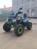 Утилитарный Motoland Wild Track LUX, 2026 г.