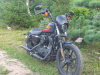 Harley-Davidson Sportster XL 1200 NS (IRON), 2020 г.