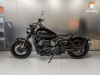 Timpton Bobber S 800, 2026 г.