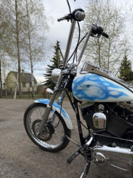 Harley-Davidson Softail Custom, 2008 г.