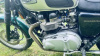 Triumph Bonneville 800 (T100), 2001 г.