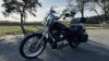 Harley-Davidson Sportster XL1200,C, 2010 г.