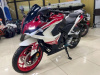 Racer Storm RC250 XZR-A, 2024 г.