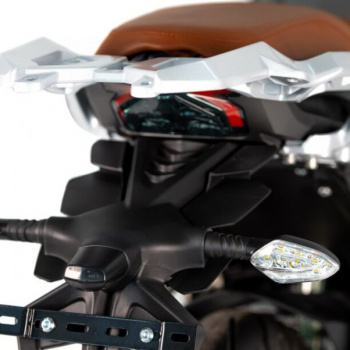 Regulmoto Alien Monster, 2026 г.