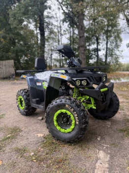 Motoland 200 Wild Track, 2026 г.
